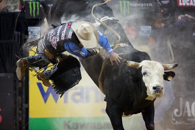 American Bucking Bull, Inc. | Home